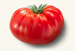 Beefsteak Tomato