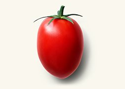 Plum Tomato