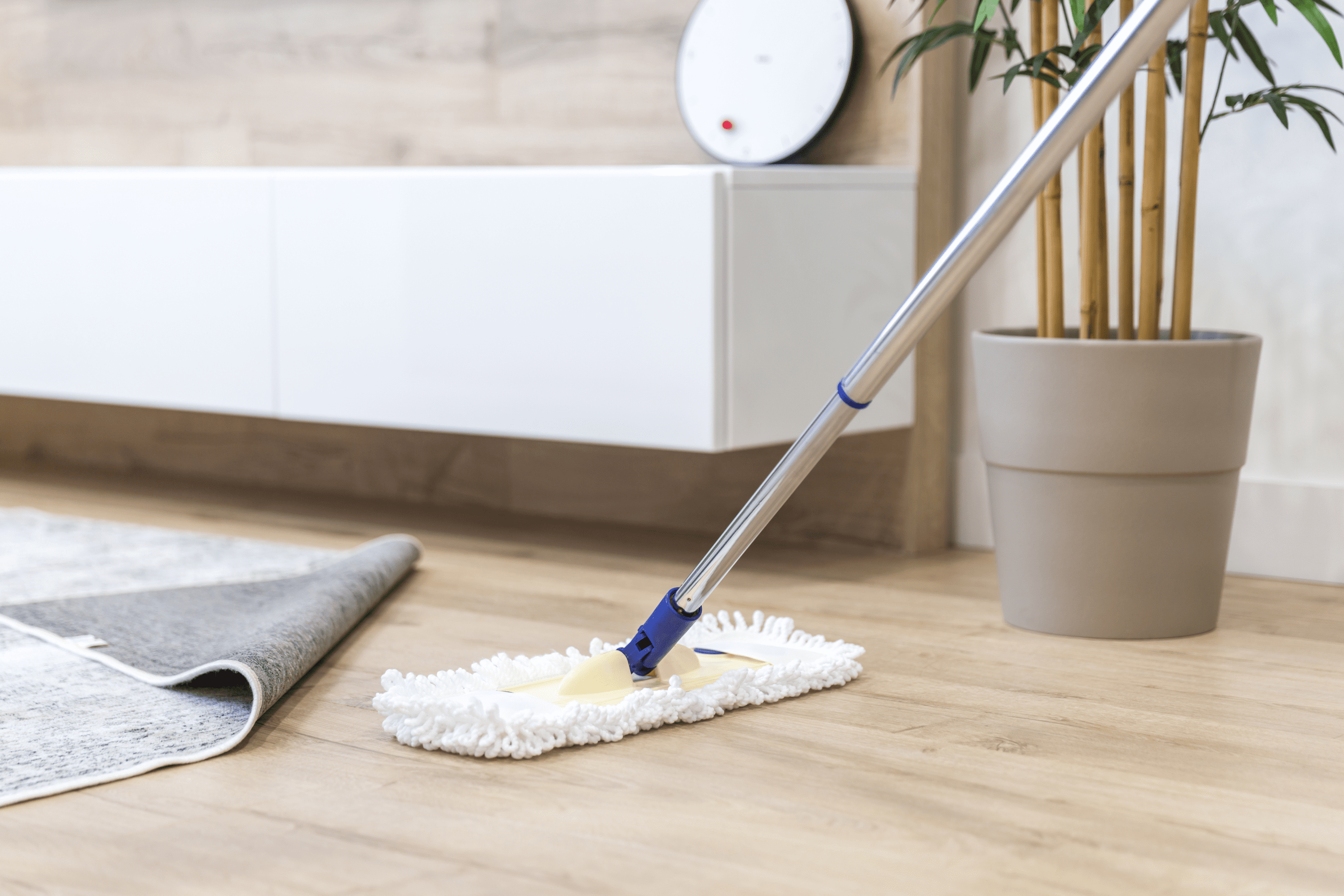carpet-cleaning-goods
