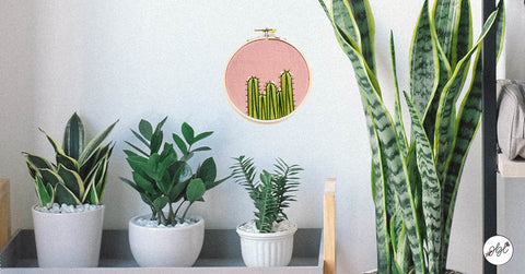 Cactus embroidery hoop in indoor plant garden