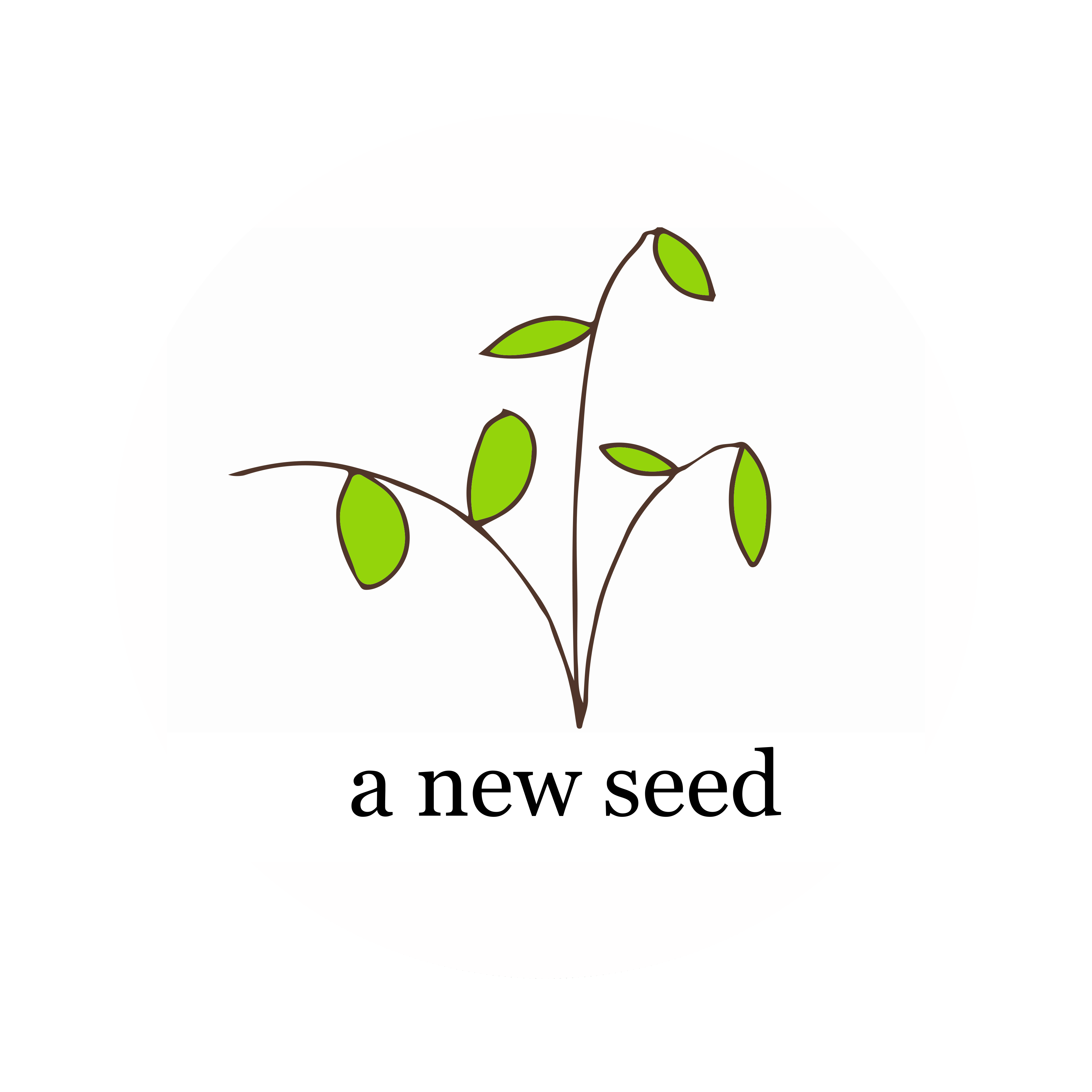 a new seed • art space + makery