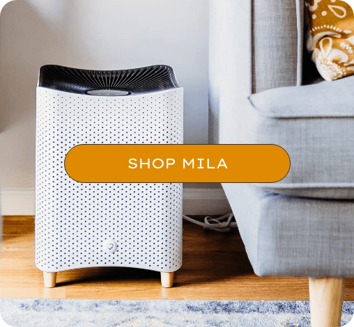 Mila air purifier for home