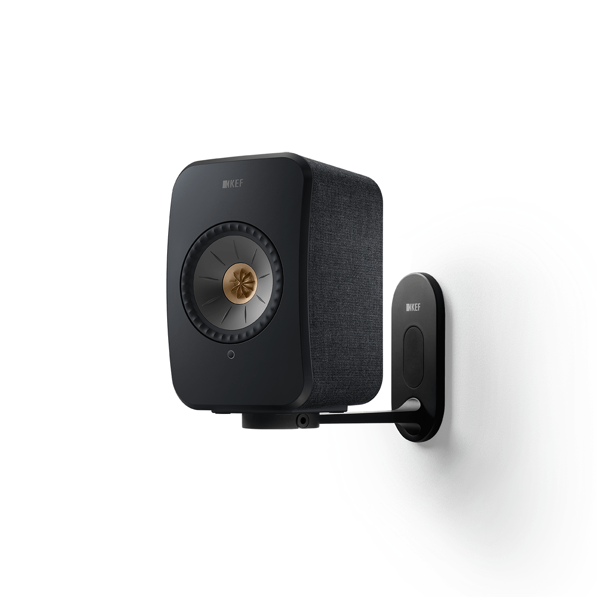 kef b1