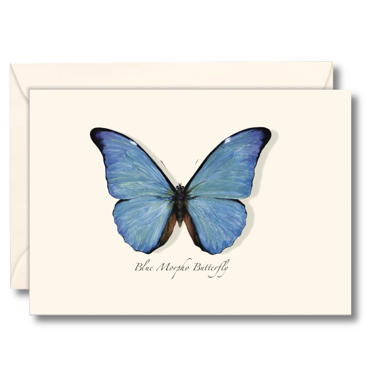 Blue Morpho Butterfly Notecards with Matching Envelopes - Set of 8