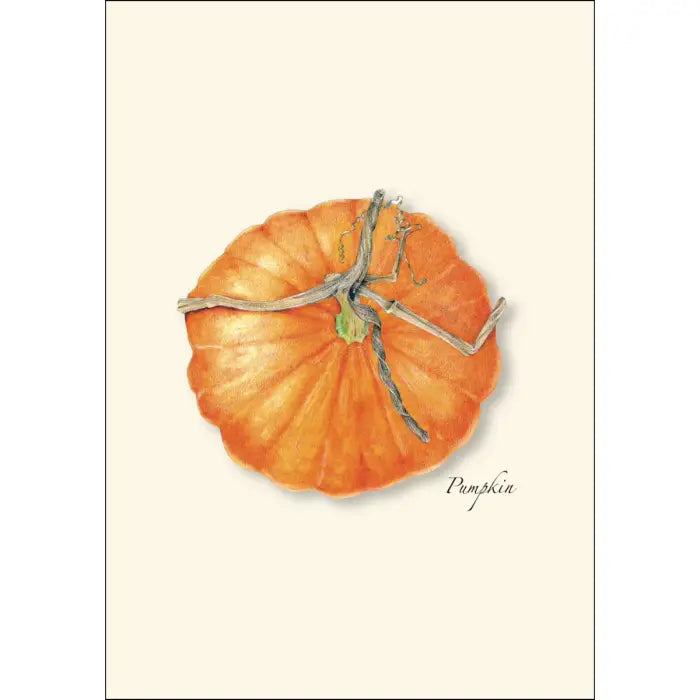 Pumpkin Notecards with Matching Envelopes - Set of 8