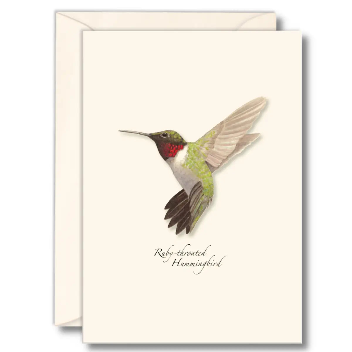 Ruby-Throated Hummingbird Notecards with Matching Envelopes - Set of 8
