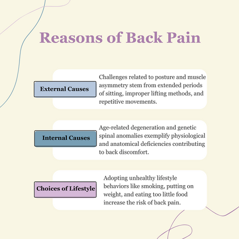 Reasons for Back Pain