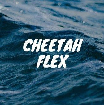 Flowcabulary - rope flow moves: Cheetah Flex