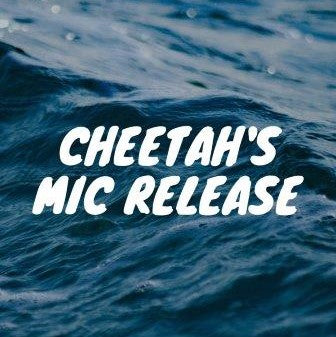 Flowcabulary - rope flow moves: Cheetah's Mic Release