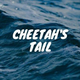 Flowcabulary - rope flow moves: Cheetah's Tail
