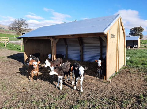 Upland side opening shelter