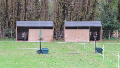 Paddock shelters for donkeys