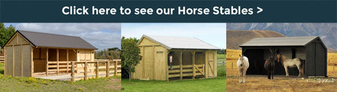Click here to see our range of Horse Shelters