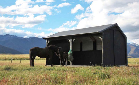 Paddock Shelter for Horses