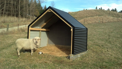 outpost-sheep-paddock-shelter