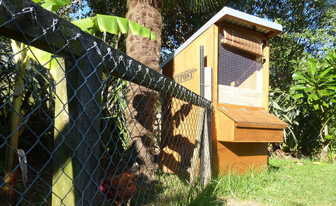 Shanty Hen House is great for small backyards