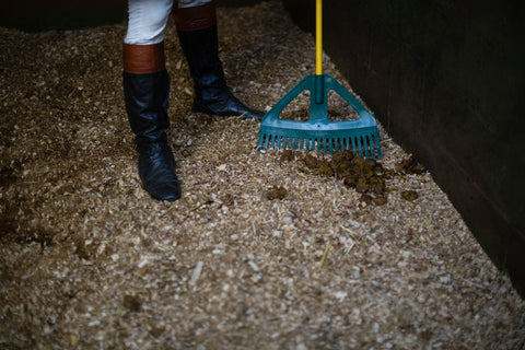 Cleaning horse stable