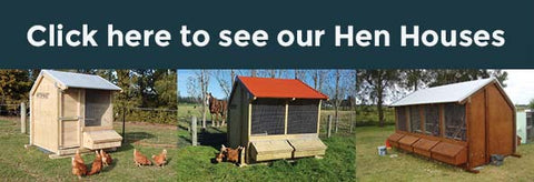 Click here to see our Kitset Chicken Coops