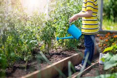 child watering plants in a greenhouse