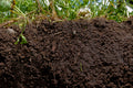 The Top Soil Horizon - Top Soil