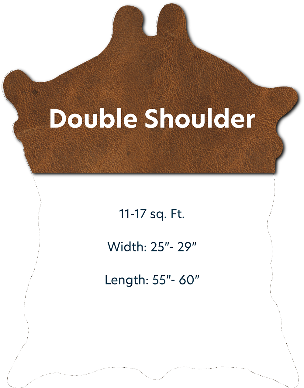 Double Shoulder with Dimensions