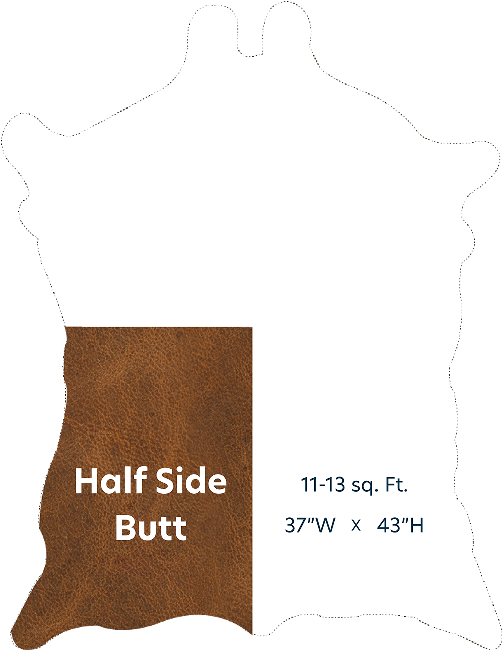 Half Side Butt with Dimensions