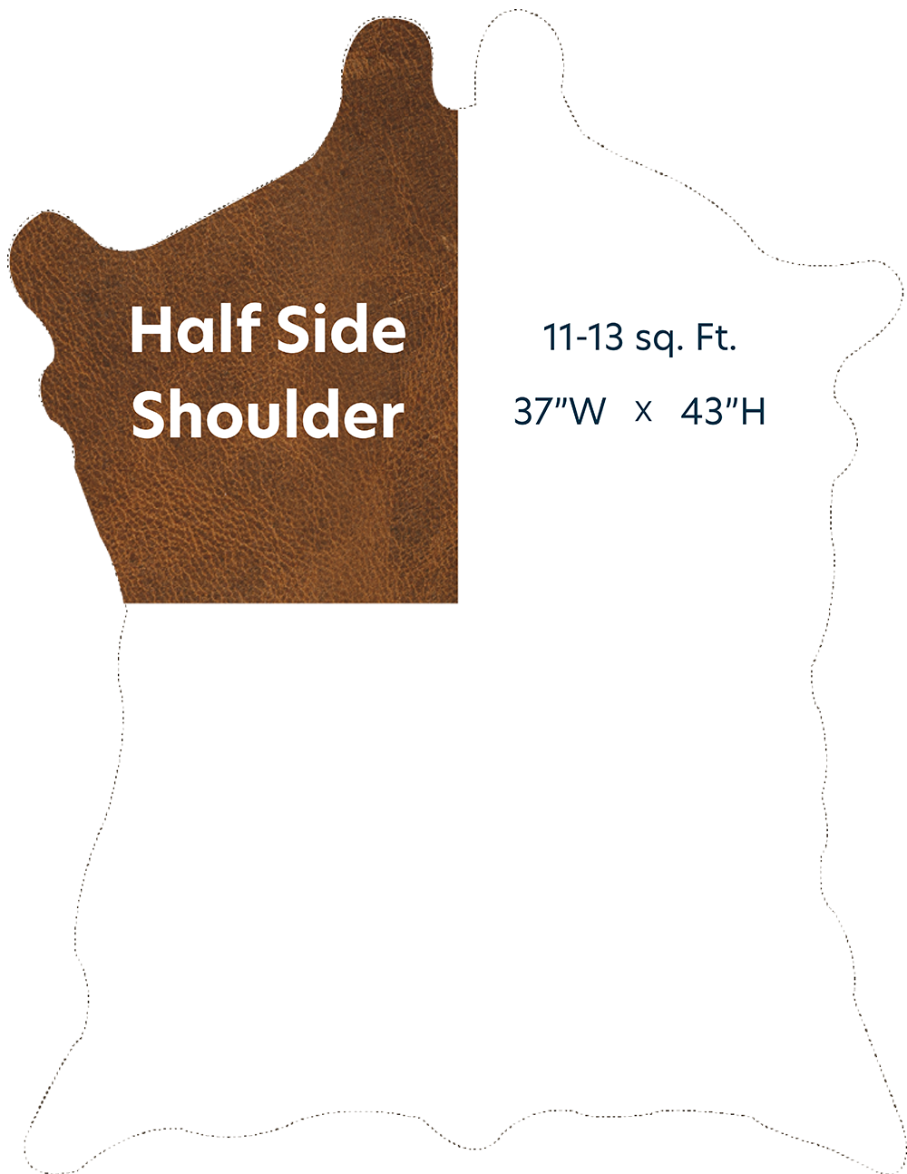 Half Side Shoulder with Dimensions