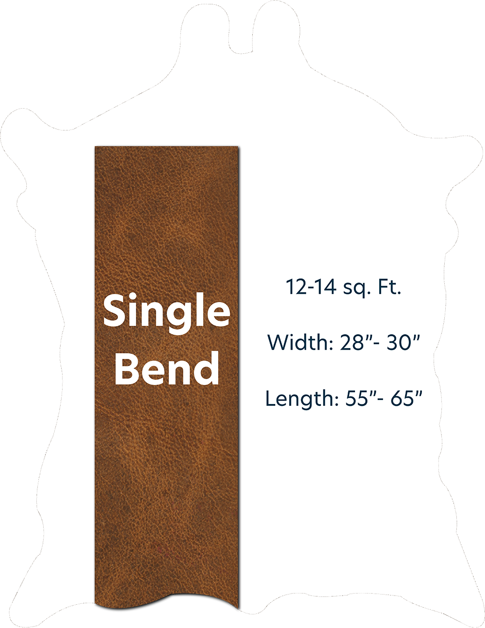 Single Bend with Dimensions