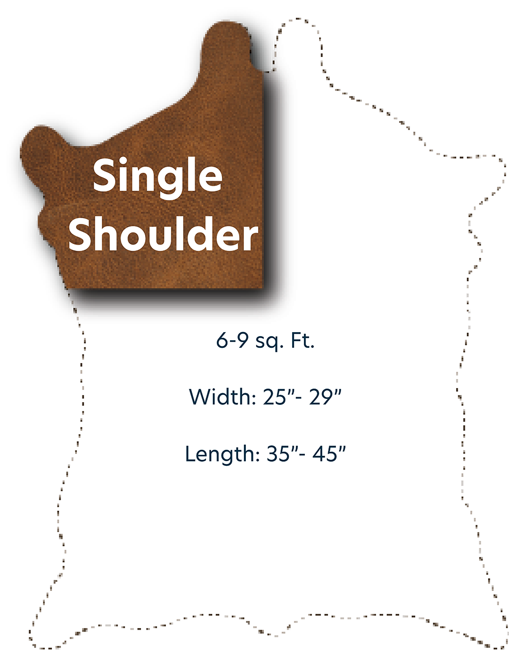 Single Shoulder with Dimensions