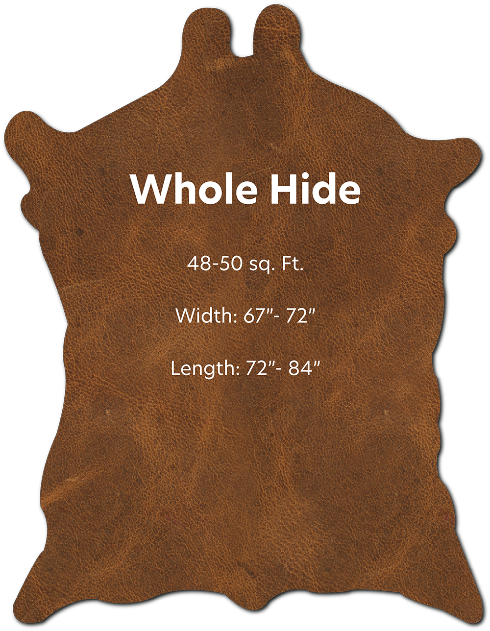 Whole Hide with Dimensions