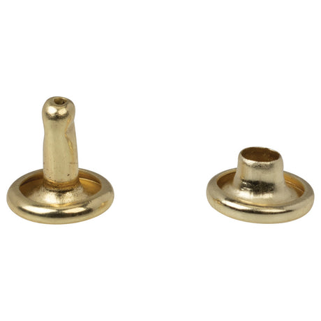 Double Rivets Tubular Rivets Leather Rivet Kit Rivets For Leather 500 Sets  Leather Rivets 6x8mm Electroplated High Strength Metal Widely Used Double  Rivets For Hat Belt Shoes 