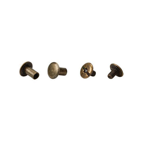 Chicago Screw Pack For Horse Harness, Brass, 1/4 & 3/8-In., 6-Pk