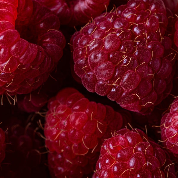 400g Punnet of raspberries