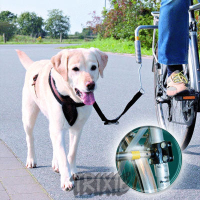 Accessoires pour faire du vélo avec votre chien