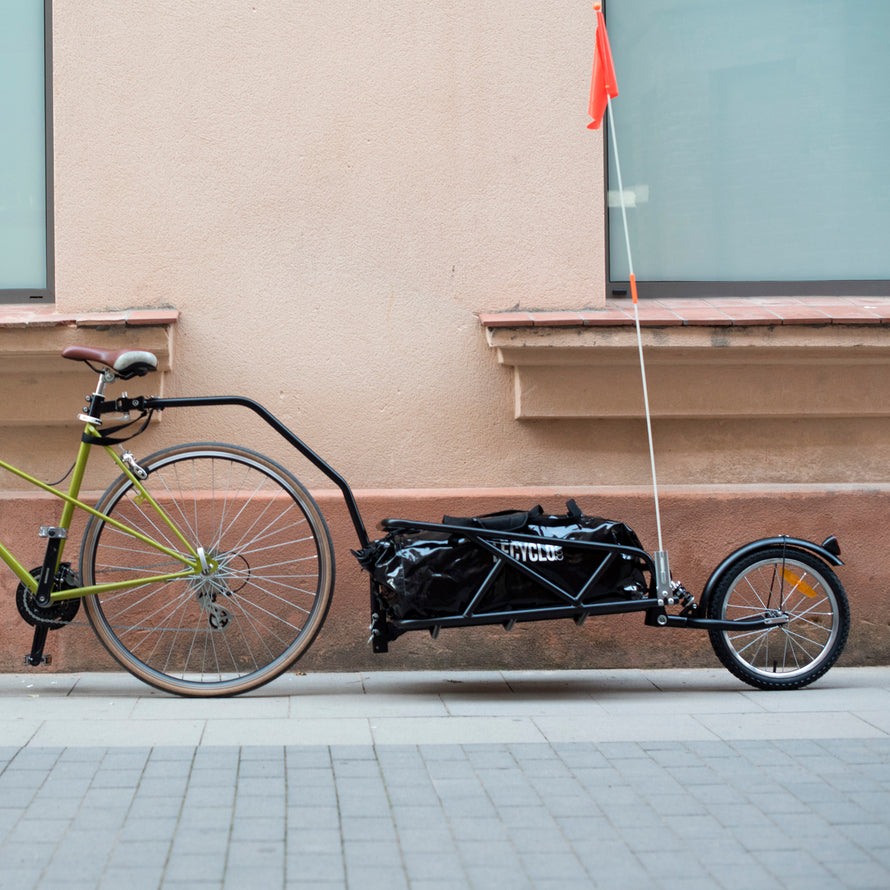 Drapeau de sécurité à vélo, Drapeau de cyclisme résistant à l'eau avec mât  solide, Drapeau décoratif arrière de vélo pour chariot de golf de voiture  électrique, ornements de tricycle pour