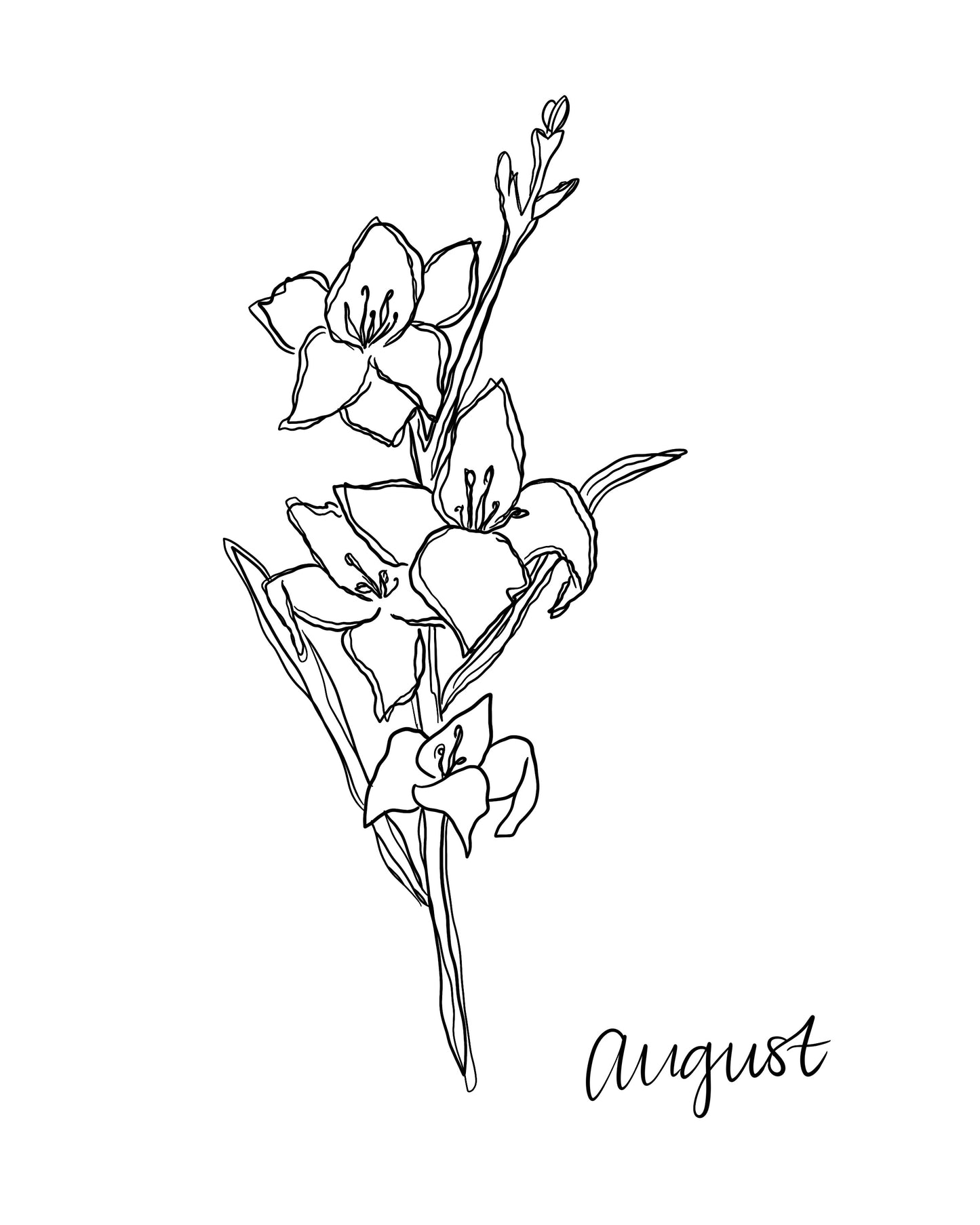 DIGITAL DOWNLOAD, August Birth Flower, Gladiolus Flower Drawing