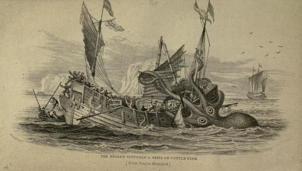 An old illustration of the Kraken depicted as a cuttlefish