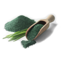 https://cdn.shopify.com/s/files/1/0611/6261/9115/t/2/assets/spirulina-1677612331533_250x.png?v=1677612332