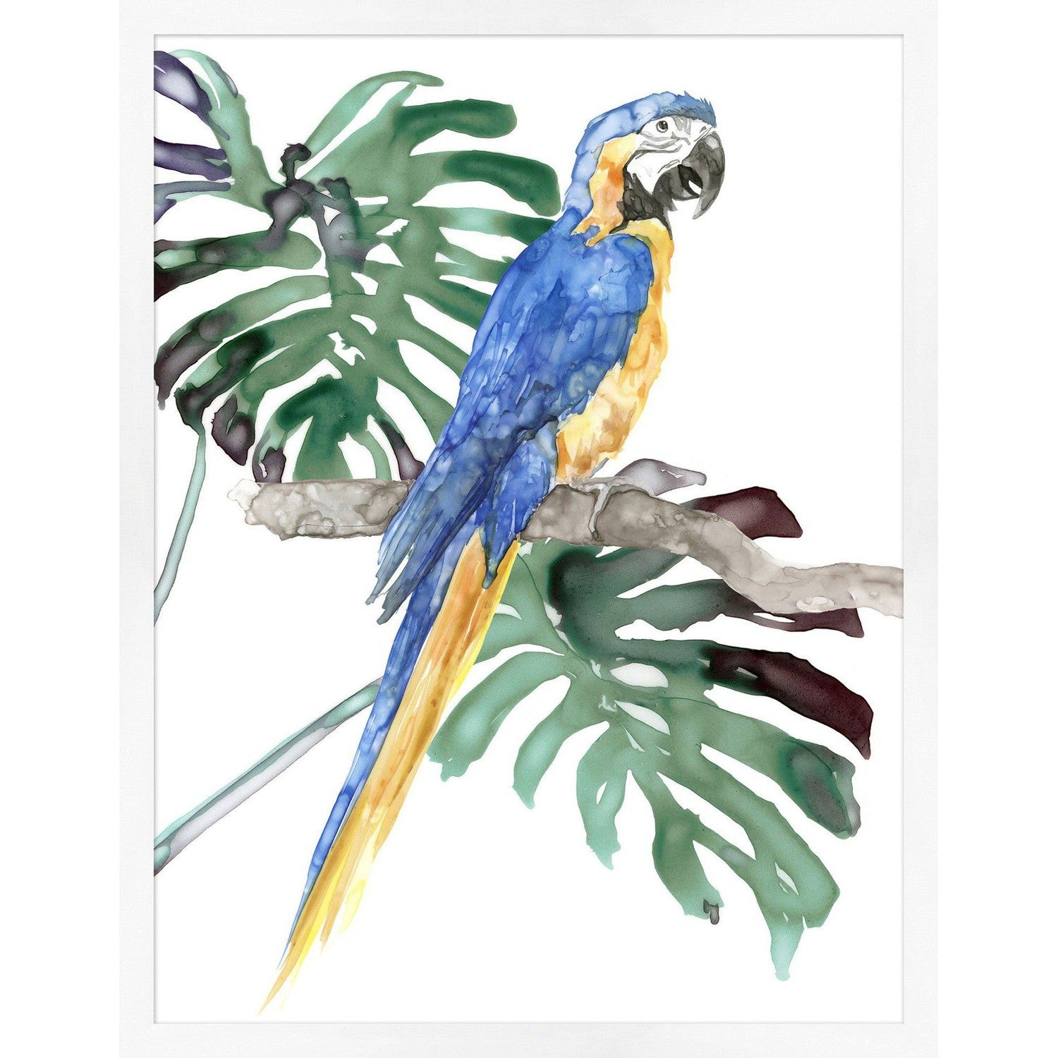 Perched Parrot 1 (WCL1267)