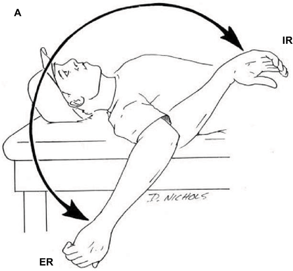 An image showing the process of Passive Internal Rotation.