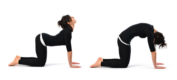An image of a woman doing cat cow exercise, one of the exercises for lower back pain.