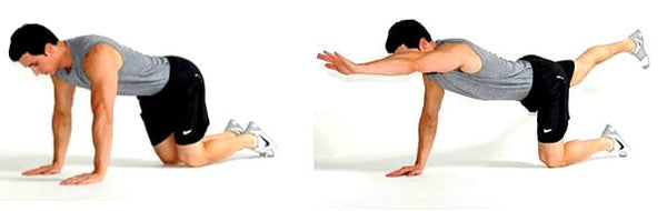 An image of a man doing bird dogs, one of the exercises for lower back pain.