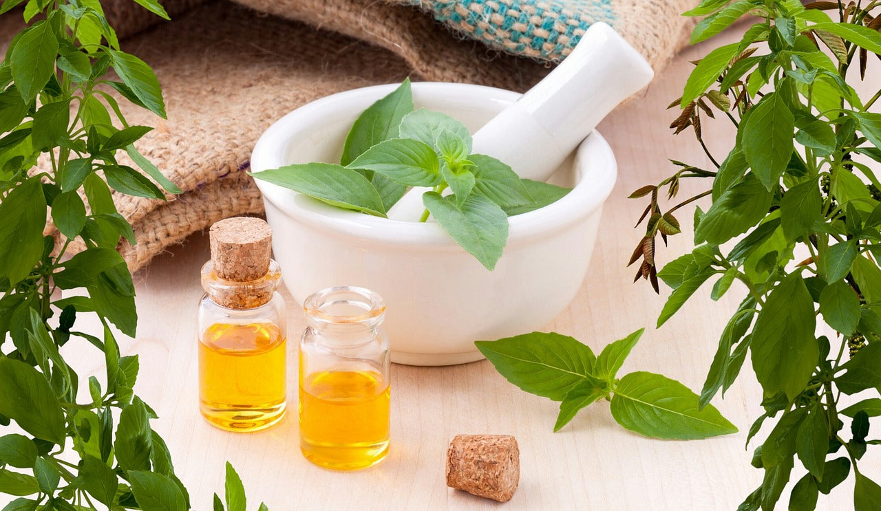 An image of leaves and essential oils in a bottle, representing sensory grounding techniques.