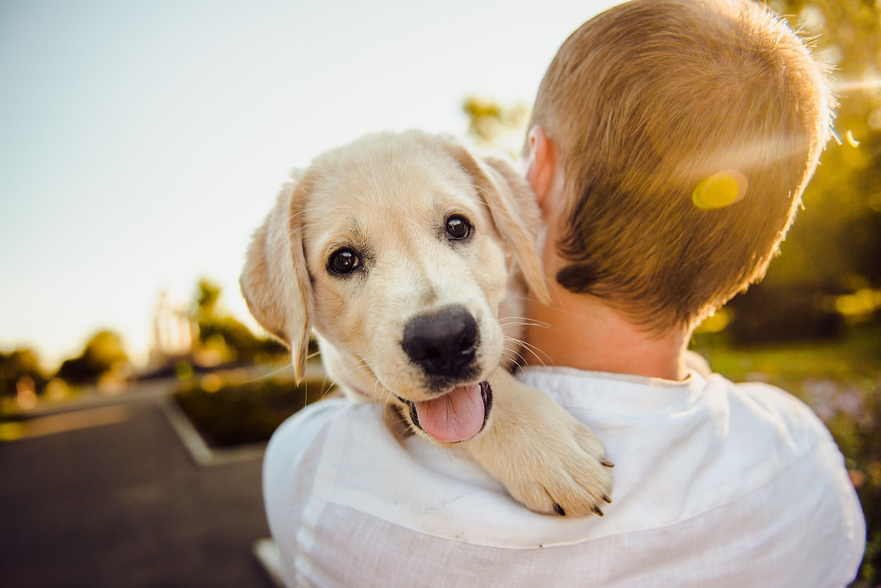 An image of a man holding his pet dog, a calming act and a grounding technique.