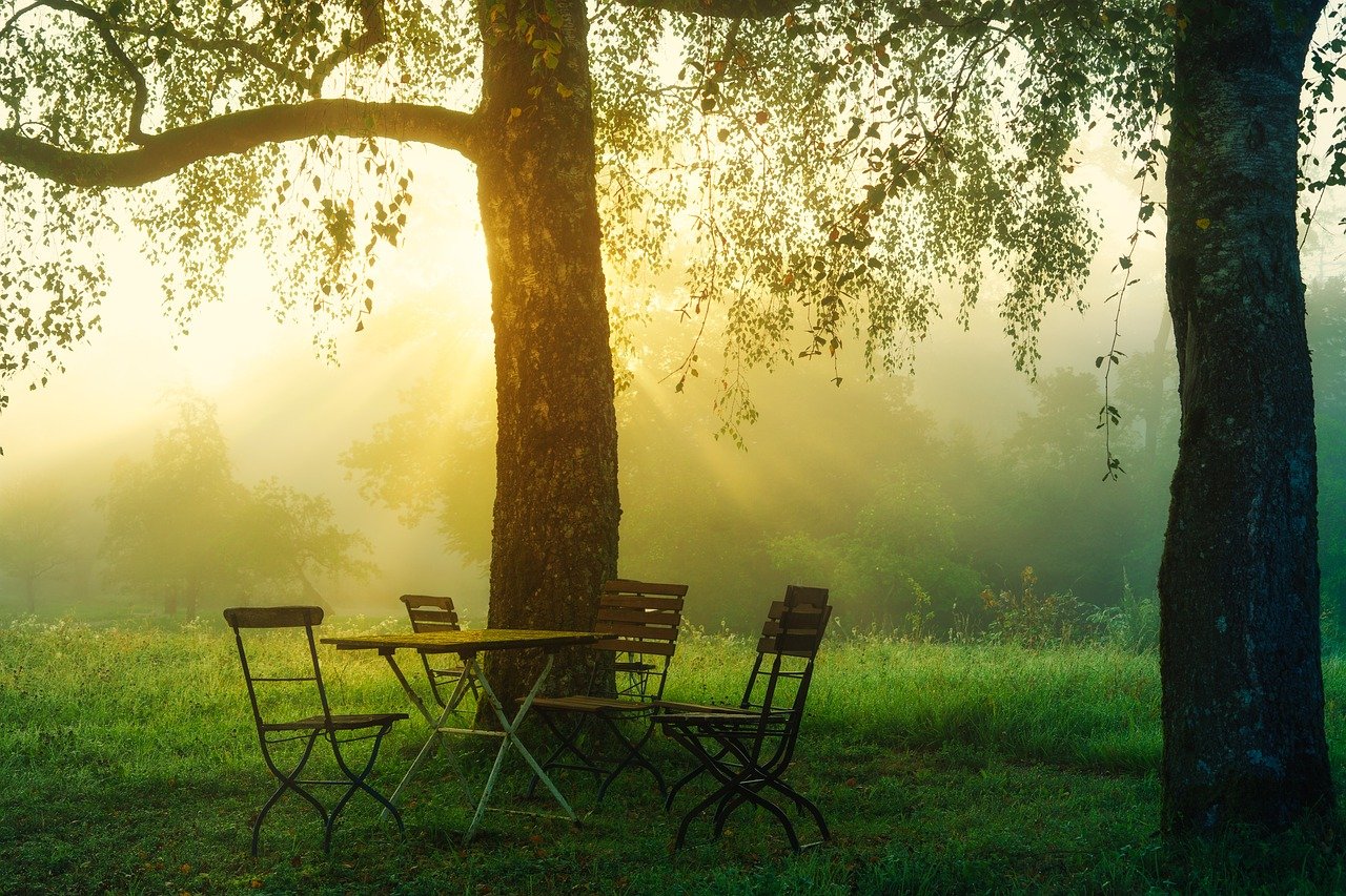 An image of a tree with a table and chairs underneath, set against a beautiful morning backdrop as part of the grounding techniques to bring calmness to life.