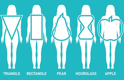 Differences from other basic body types