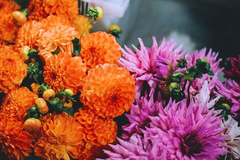 Burnt orange floral arrangements