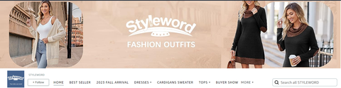 Styleword brand introduction