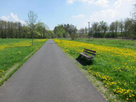 Skirollerstrecke in Dermbach