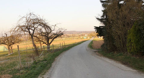 Mit Skirollern auf einer Runde bei Weil der Stadt unterwegs.